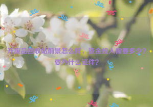 開廢品回收站前景怎么樣，資金投入需要多少？要辦什么證件？