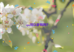 cpu可以做假嗎？