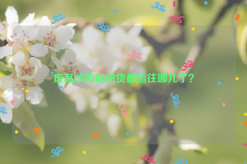 廢品收購站把貨都運(yùn)往哪兒了？